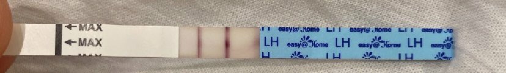 LH test strip