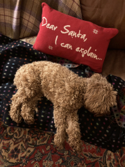 Pamela thread 3 - Bile Duct Cancer, off to London! 