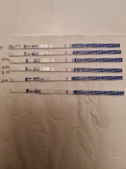 FET/IVF July 2023 - Thread 2