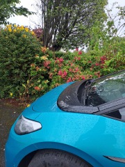 What have you done in the garden today? Part 2