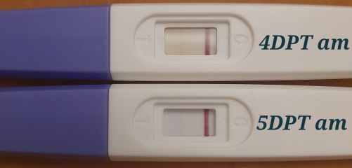 What IVF dose and how many eggs did you get?
