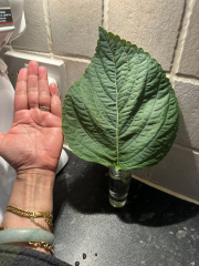 MsLatté’s Daebak Cybercafé (Kdrama addicts #42): Where we weigh up two smokin’ hawt chaebol hotelliers, one tortured by loss and the other crippled by abandonment issues