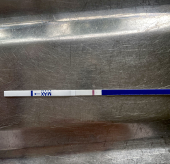 TTC cycle #5 - 28 years old