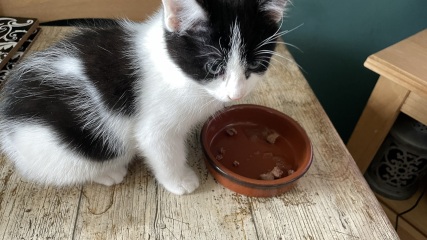 Name suggestions!