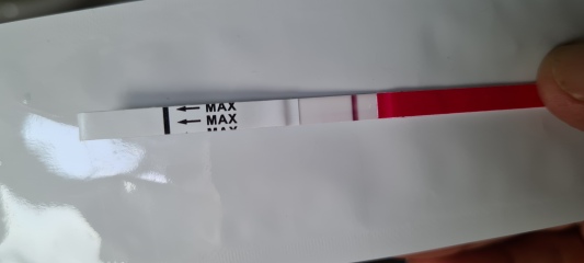 Sorry another one… EVAP or vvfp? 