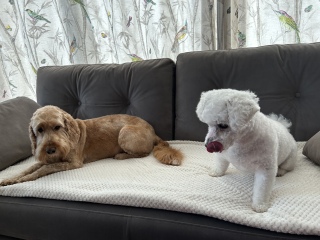 Pamela thread 5 - Bile Duct Cancer, chemo begins