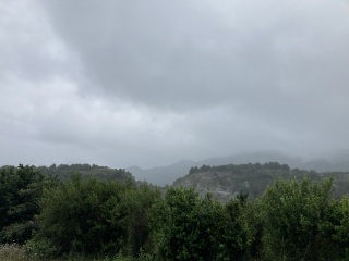 The Saxenda Sisterhood 