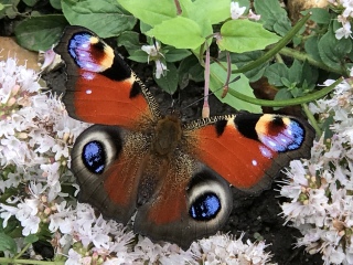 Come and tell me your dull and unexciting news 26: Calmly through the day 