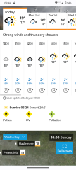 There is no summer is there this year ?