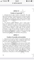 ECHR as the next battleground for the rights of women and children