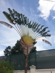 Does anyone else find the Caribbean to be disappointing?