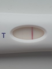 Possible line? Is It there? 
