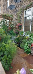Can we help the birds and insects?