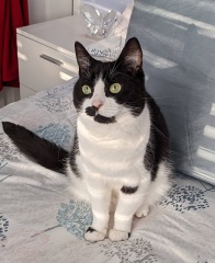 Pamela thread 5 - Bile Duct Cancer, chemo begins