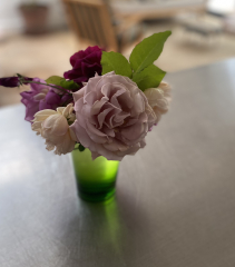 Pamela thread 3 - Bile Duct Cancer, off to London! 