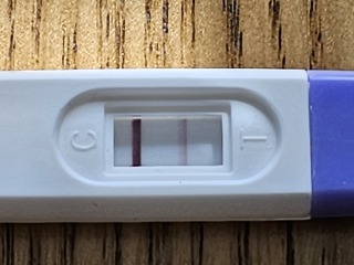 Pregnant or not?