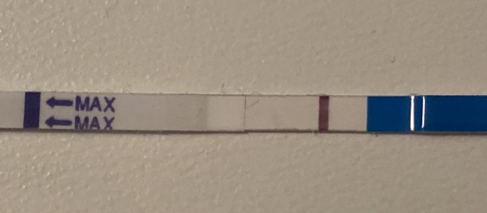 Are these one step tests positive?