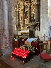 The Saxenda Sisterhood 