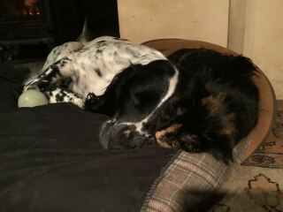 Thread 8 - TalkLair: “Brewing Russell's teapot” 