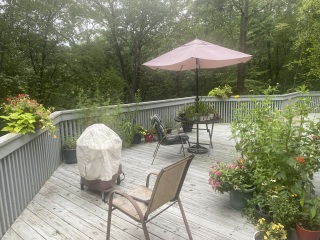 Come and tell me your dull and unexciting news 26: Calmly through the day 