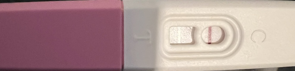 Pregnancy test