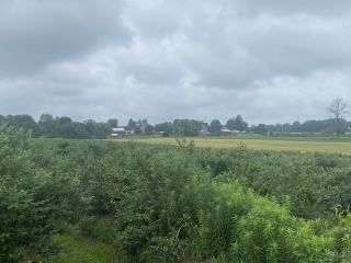 Ukraine Invasion: Part 42