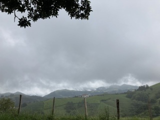 The Saxenda Sisterhood 