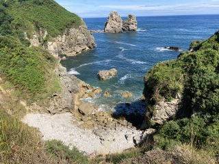 The Saxenda Sisterhood 