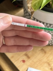 Pregnancy Test Opinions again??