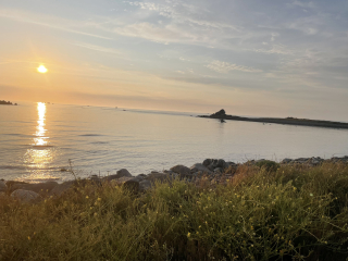 Pamela thread 3 - Bile Duct Cancer, off to London! 