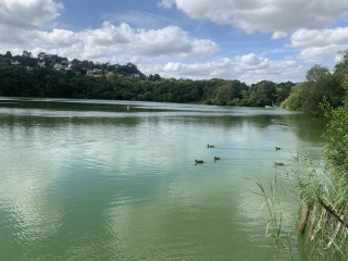 Pamela - Bile Duct Cancer, thread 4, London has given me a chance! 