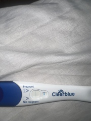 Pregnancy test 