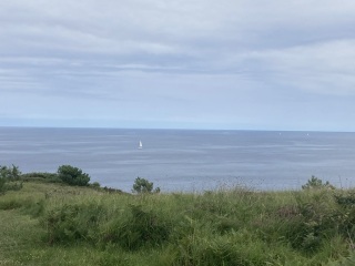 The Saxenda Sisterhood 