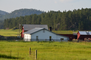 American houses