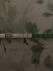 Two lines on an ovulation test? Could it indicate Pregnancy