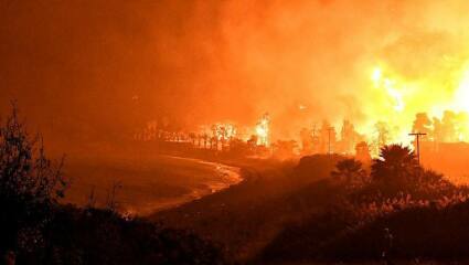 Ukraine Invasion: Part 43