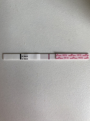 TTC May 2023 💖✨ previous MC March 2023