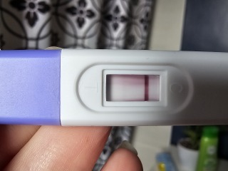 Pregnant or not?