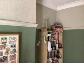 Landlord is sprucing the place up. I need some ideas.