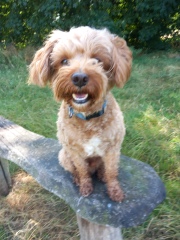 Pamela - Bile Duct Cancer, thread 4, London has given me a chance! 