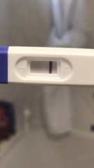 My fmu pregnancy test today what do you think ?