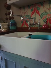 Talk to me about your kitchen sink...