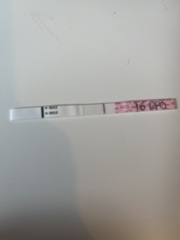 16dpo Lines- should I be worried?
