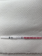 8 DPO - BFN :( TWW buddies please!