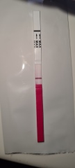 Is this a bfp? 