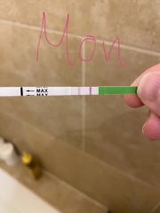 OPK help. Photos attached, any/all help appreciated!