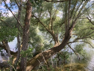 I'm starting saxenda this week. 