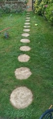 Advice PLEASE on my garden