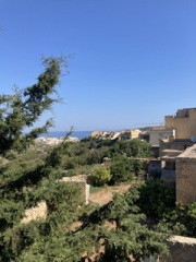 The Saxenda Sisterhood 