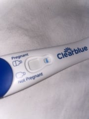 Advice on clearblue Evap lines? 